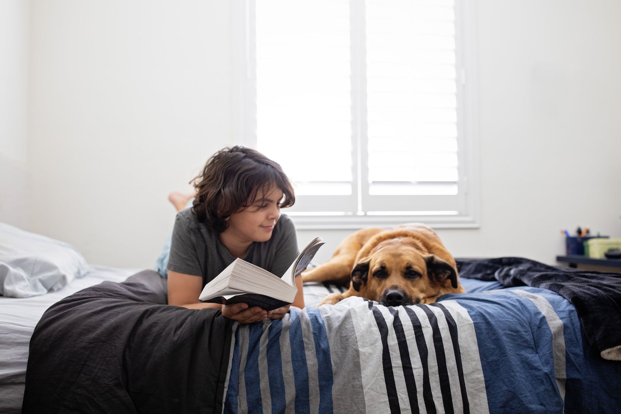 Boy with dog on bed
