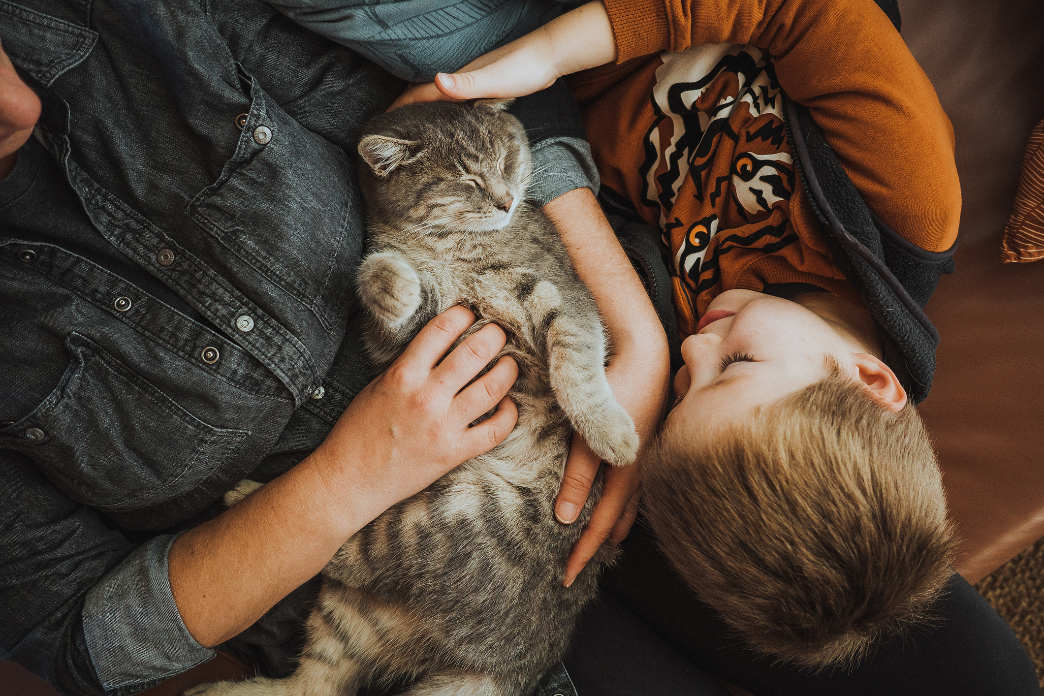 little boy with cat