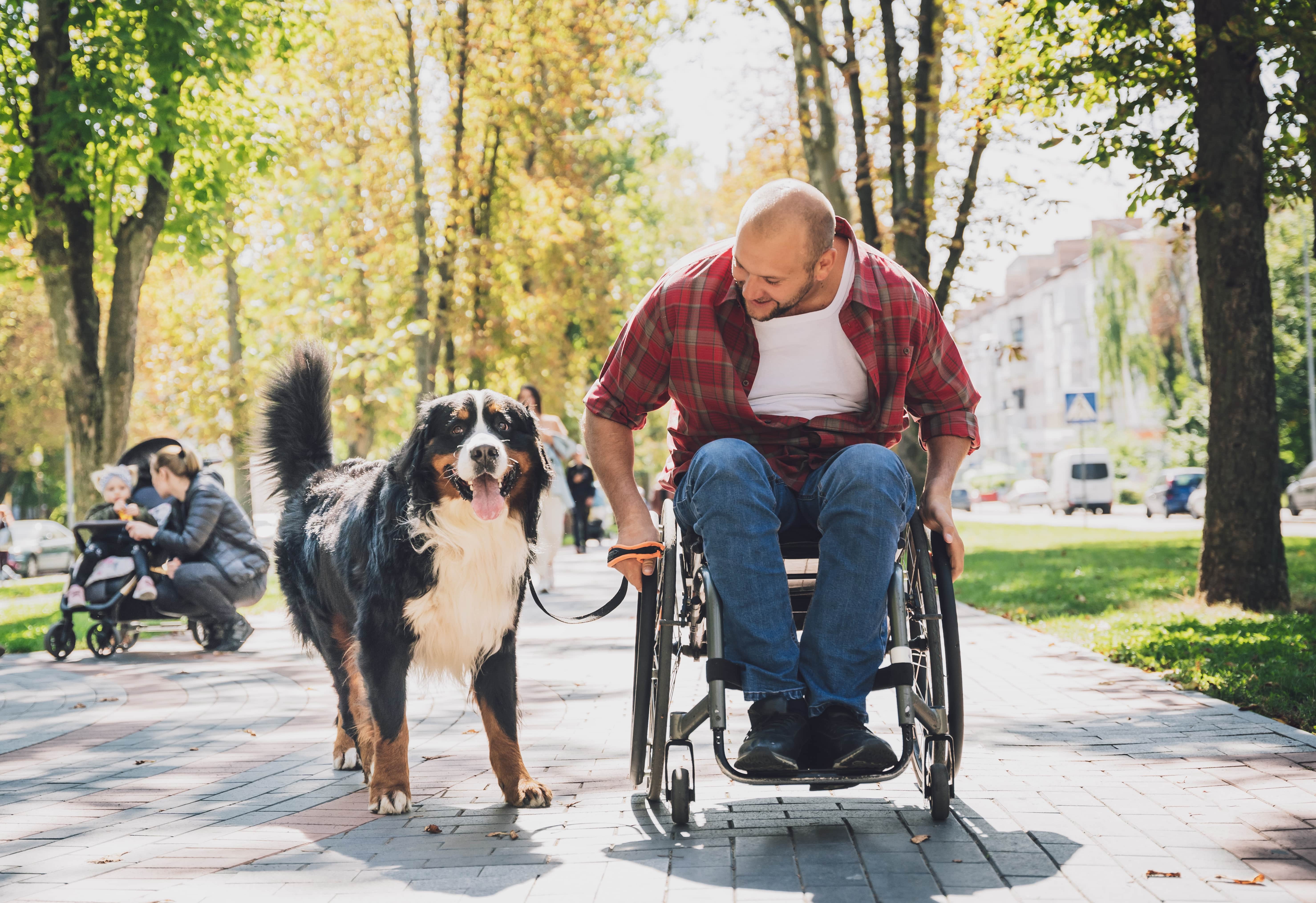 man in wheelchair with dog